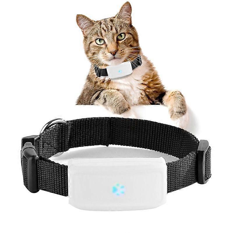 TK911 Pet GPS Tracker