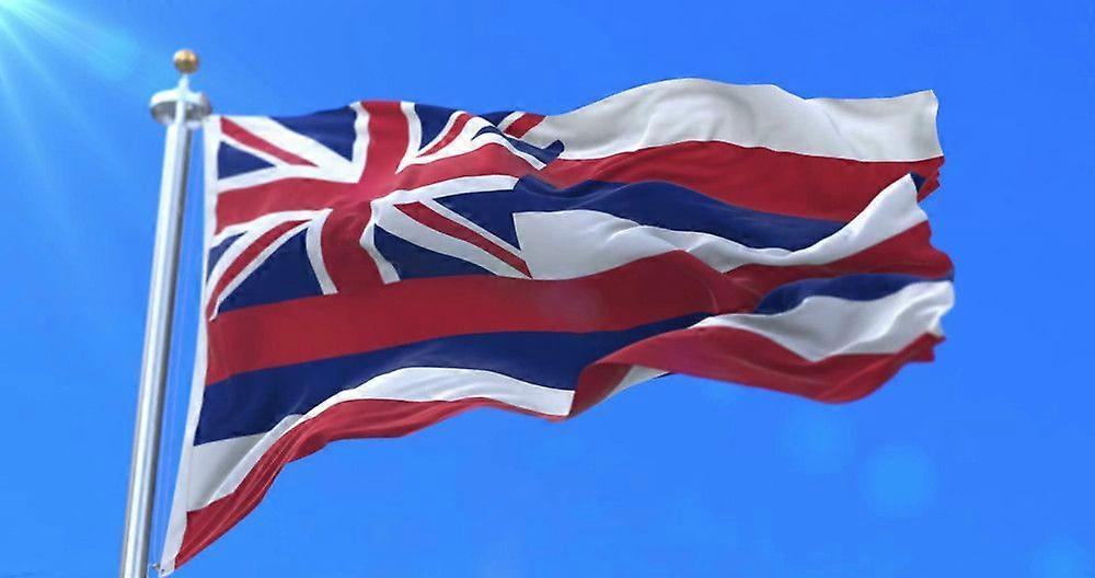 DRAPEAU DE L'ÉTAT D'HAWAÏ CX0585