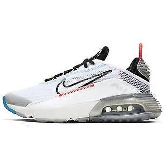 Nike Air Max 2090 „Pure Platinum” Gs CJ4066-100