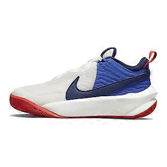 Nike Team Hustle D 10 Low top Basketball Shoes Unisex CW6735-103