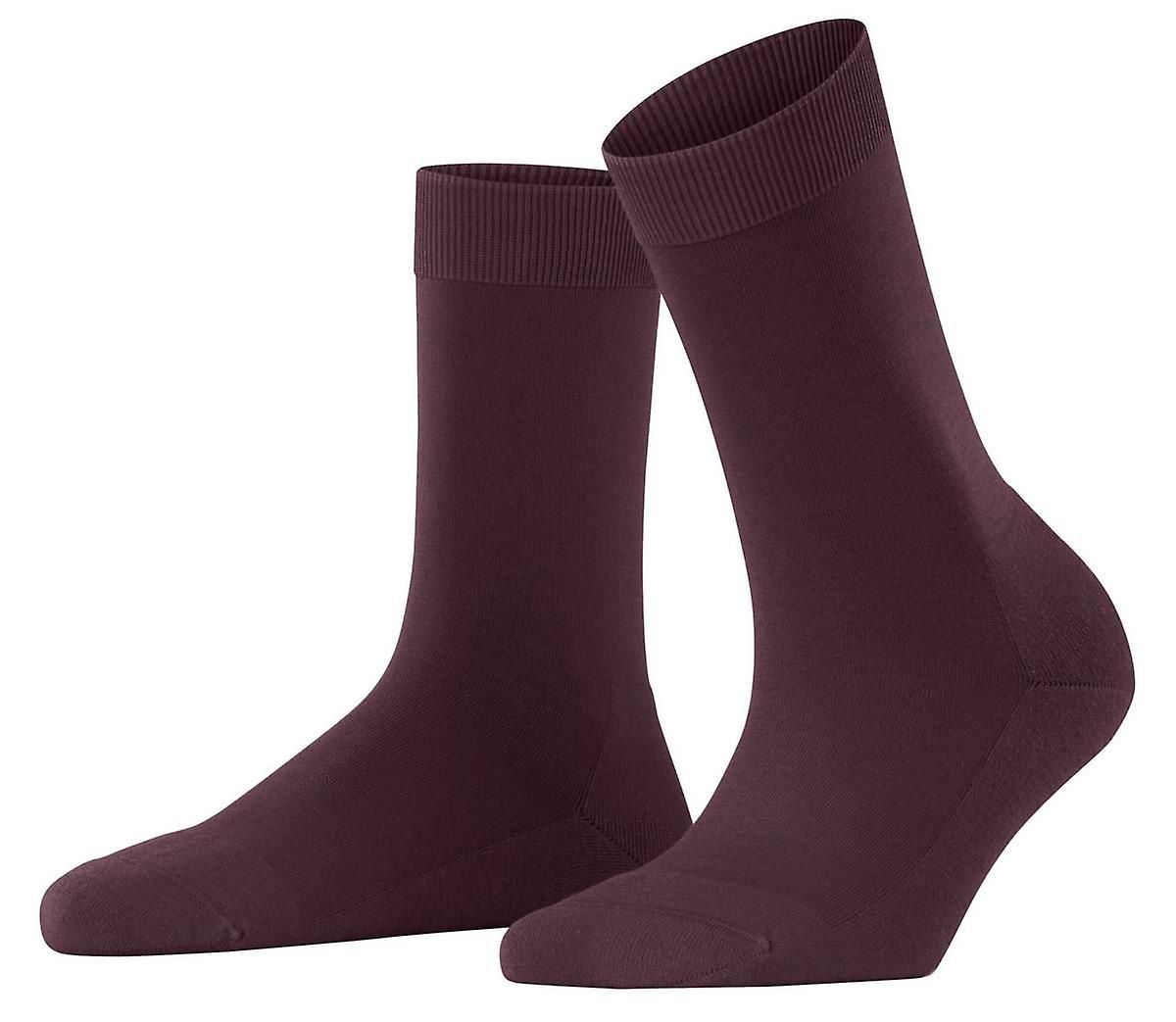 Falke Climawool Socks - Burgundy