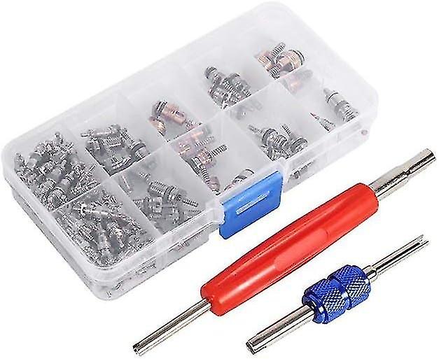 Service Tool Kit A/c R134a/R12 Refrigerated Tire Valve Valve Combo Set 102 Pieces for Car