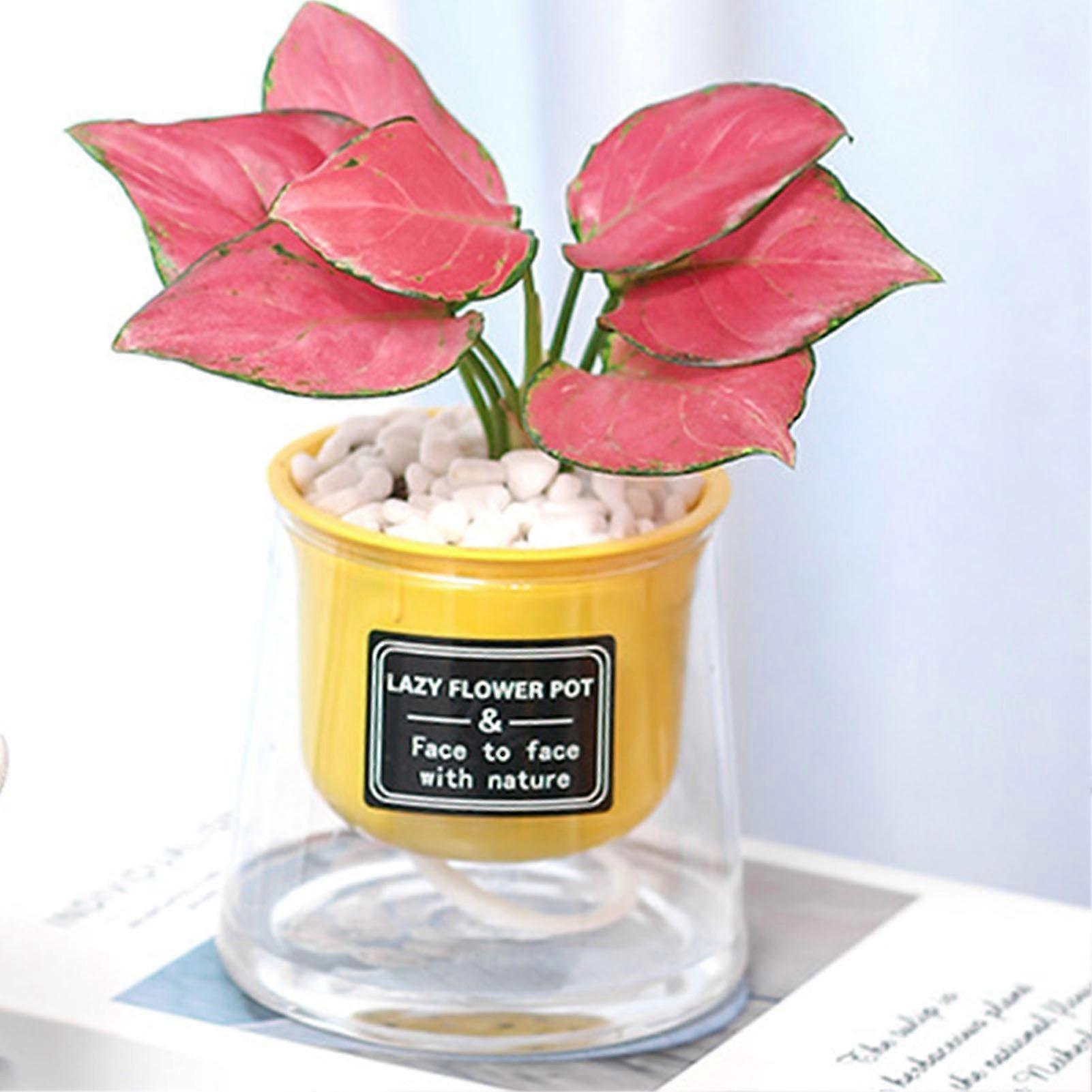 Absorbing Plant Pots S Visible Flower Pots For Bed