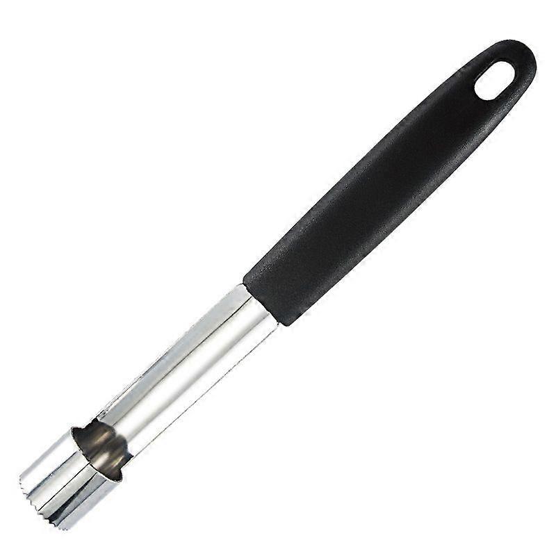 Stainless Steel Fruit Pit Extractor, Fruit Pit Removal Tool