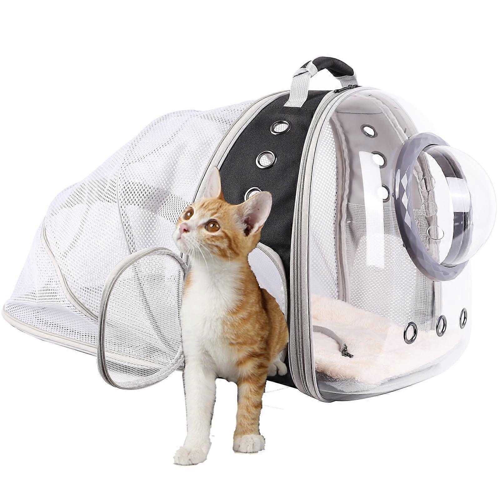 Transparent Backpack for Visit Vet and Travel