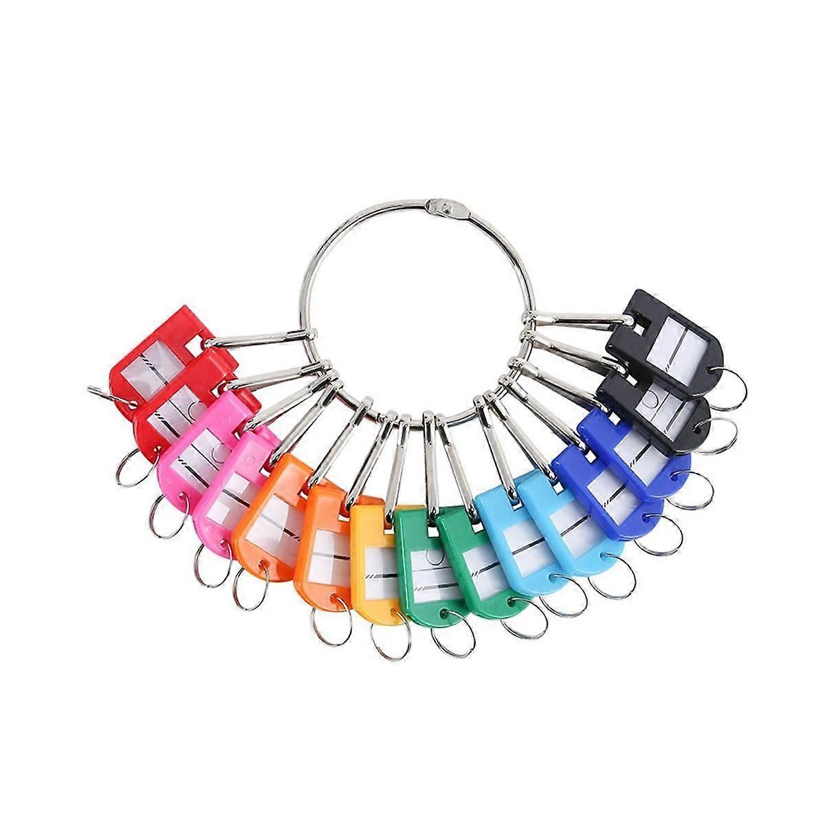 Portable Metal Ring Key Organizer with 20 Spring Hooks & Key Tags with Ring and Label Window