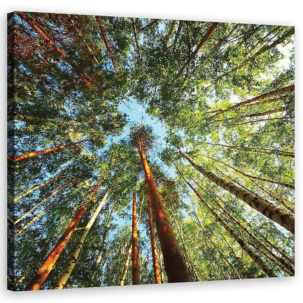 Tisk na plátno, Krajiny - Zelená - 30x30