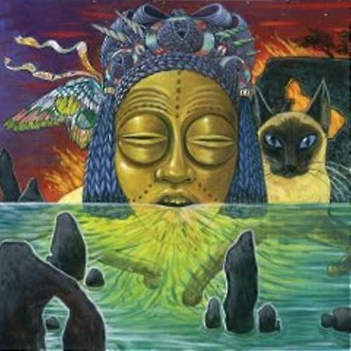 Valet - Naked Acid  [COMPACT DISCS] USA import