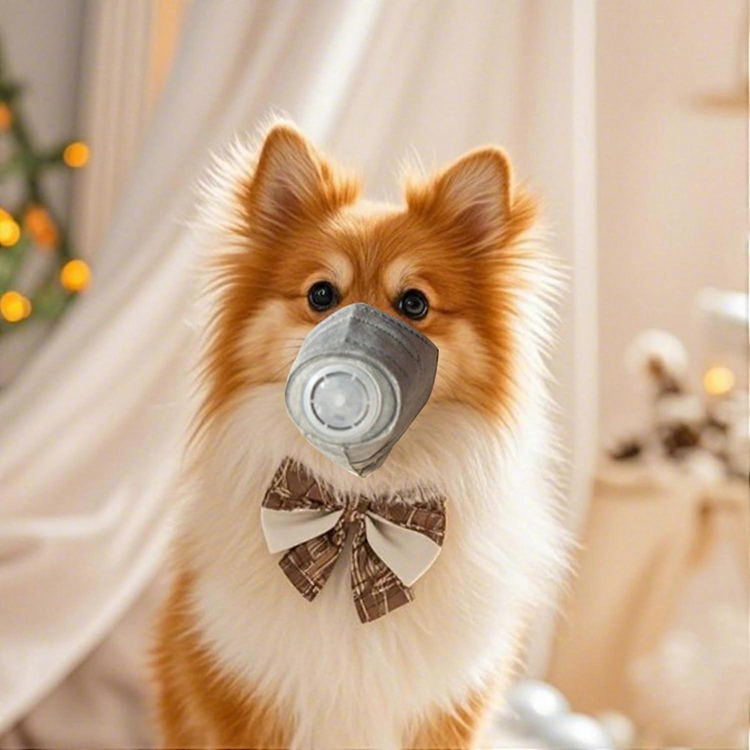 Electric Dice Cup Automatic Shaker Play Dice No Battery Required For Bar And Party Compact Design Easy To Clean