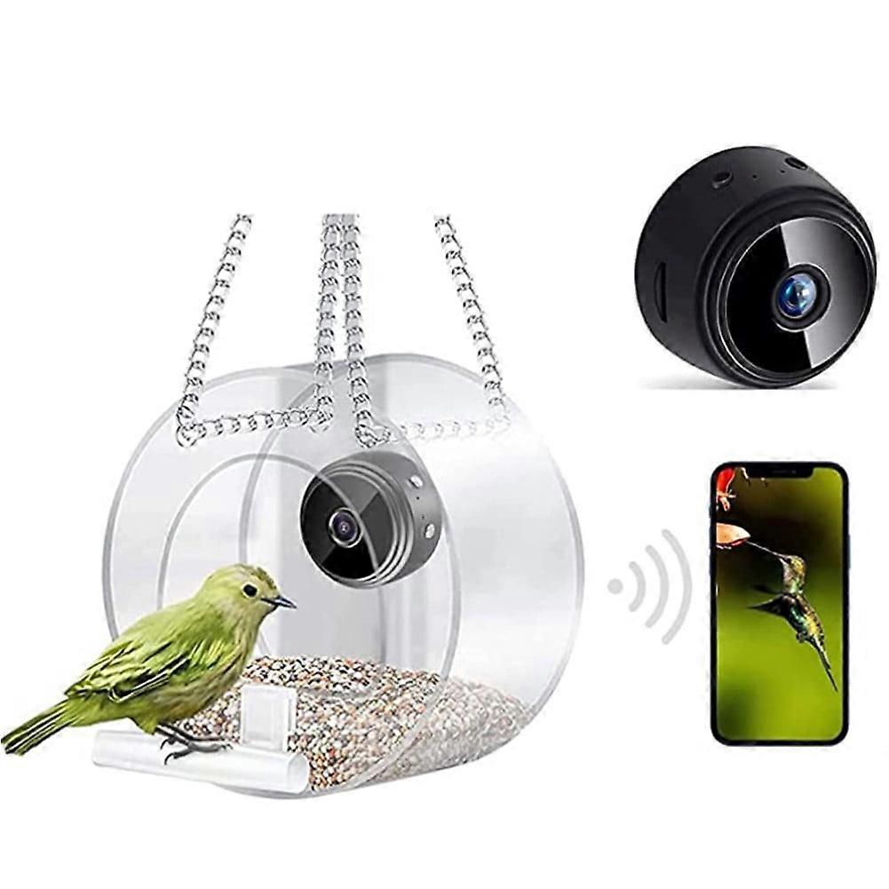 Bird Feeder With Camera Bird House With Camera Clever Bird Feeder With Camera