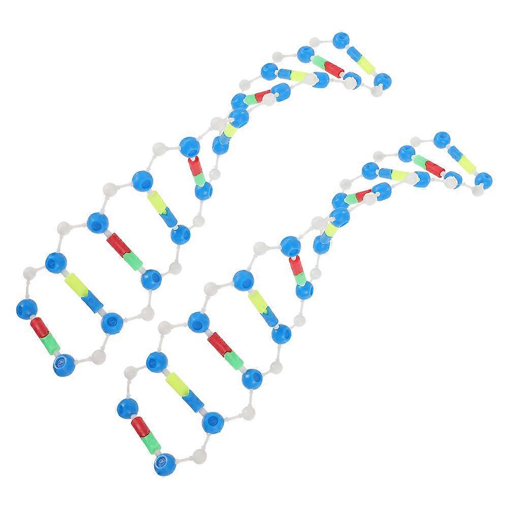 Dna Double Helix Model Kit 2Pcs for Education Use