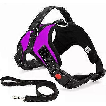 No Pull Dog Harness Breathable Adjustable Comfort Free Leash Included for Small