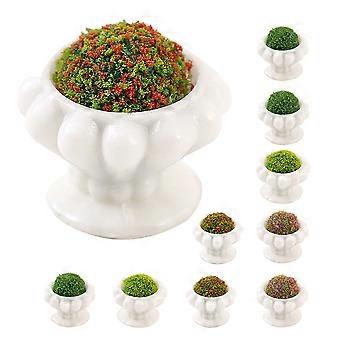 Miniatur-Pflanzenmodell-Bonsai-Dekoration für 10 Mini-Hausvasen-Ornamente