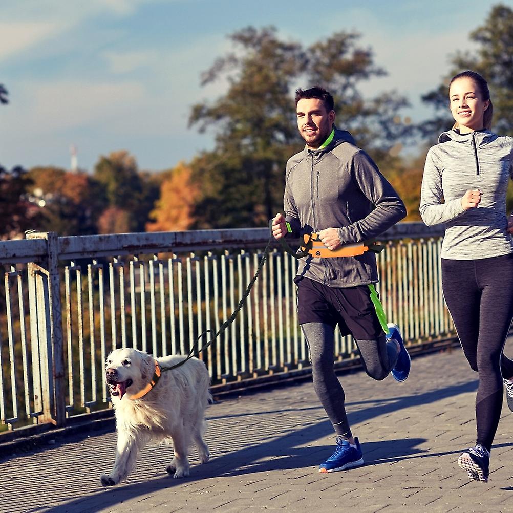 כלב ידיים ללא רצועה עם נרתיק רוכסן ריצה רפלקטיבית רצועת מותניים חבילת תיק לריצה בחוץ הליכה לילה ריצה