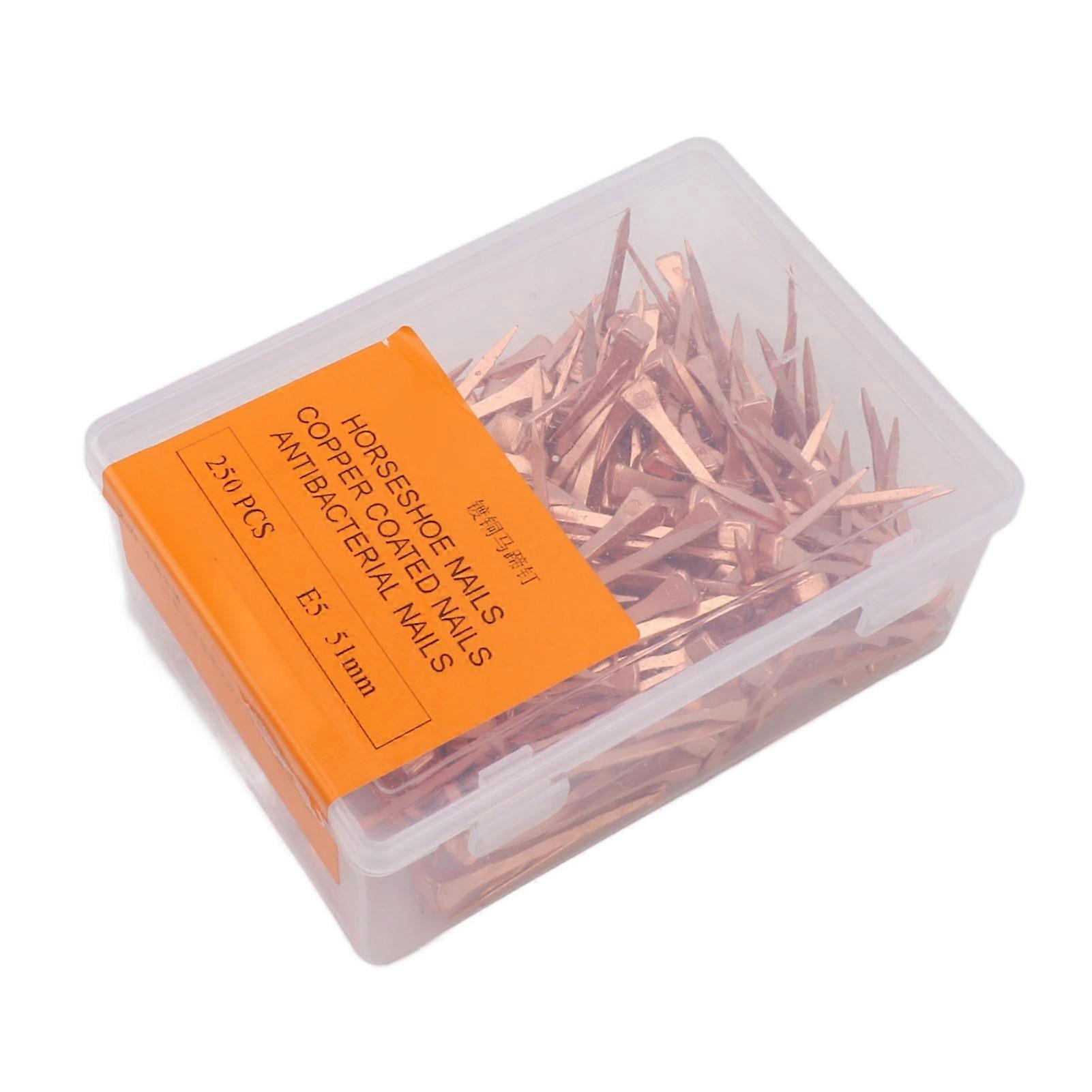 250 قطعة مسامير حدوة حصان مطلية بالنحاس ومقاومة للصدأ ومعدات ركوب الخيل ومستلزمات الحيوانات الأليفة 51 مم E5
