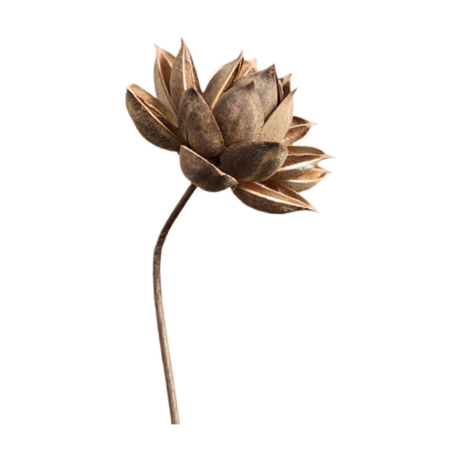 Torkad Blomma Bukett För Vas Blommigt Arrangemang För Sovrum Födelsedag Kontor Stil A