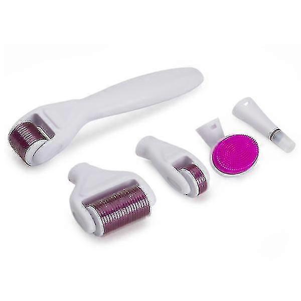 6 I 1 Mikroneedler Derma Roller For Ansiktspleie Med Mikronåler Rustfritt Stål Mikroneedler