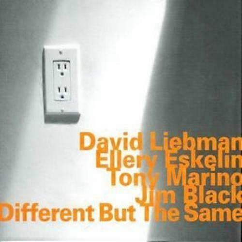 David Liebman and Ellery Eskelin Different But the Same CD (2005)