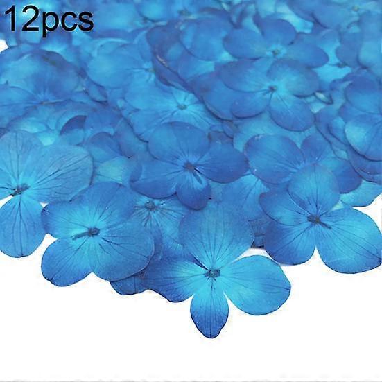 12Pcs Pressed Dried Epoxy Flower Plant Specimen Decor Resin Phone DIY