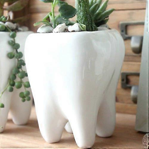 Cute Tooth Shape Ceramic Flower Planter Pot for Succulent and Plants - Modern Home and Garden Decor