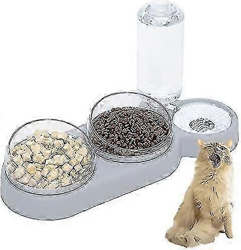 Doppelt erhöhter Katzennapf, 15 Tilt Anti-Brech-Katzennapf 3-in-1 Automatischer Wasserspeicher Haustiernapf, Ava