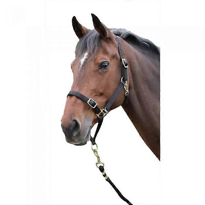 Shires Horse Headcollar