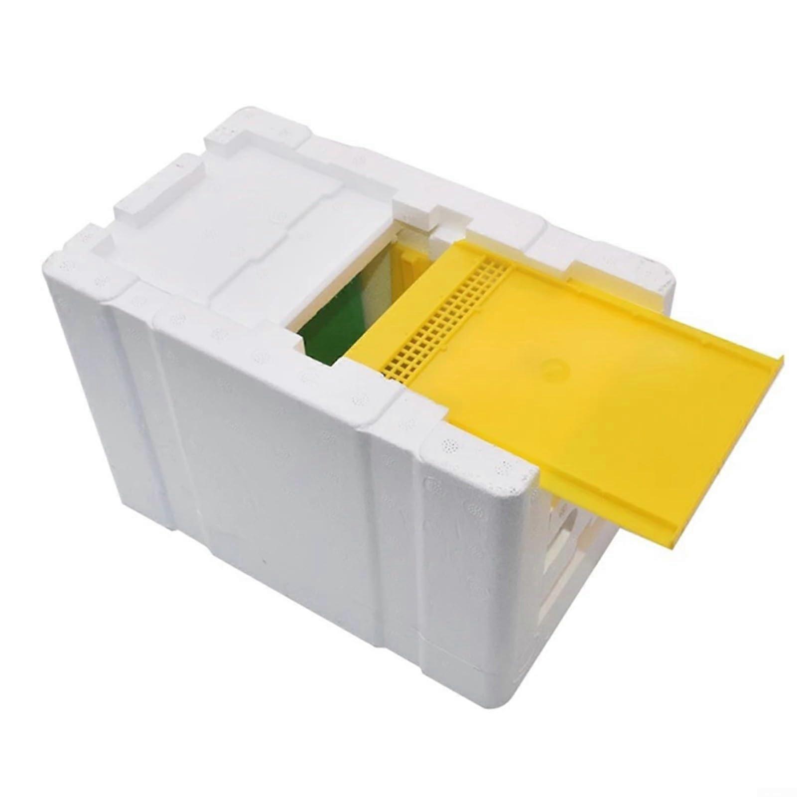 Foam Queen Bee Pairing Box with Water Feeding Station 9.8x6.5x6.25 Inch