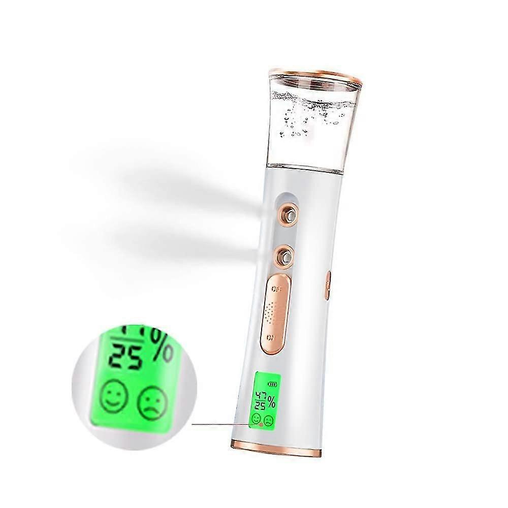 Handheld Nano Mist, Dual Hole Portable, 30ml Vision Tank