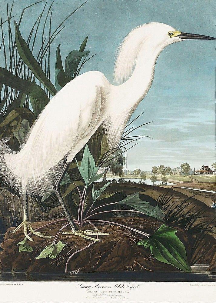 Snowy HeronJigsaw Puzzle Brain Teaser UE 2138