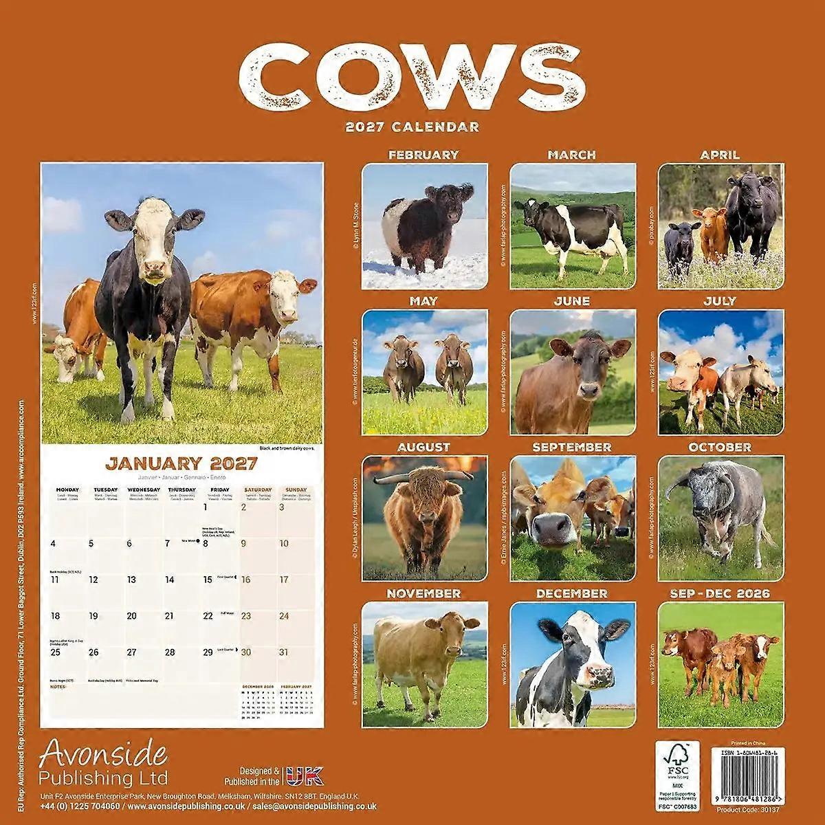 Avonside Cow Calendar 2026