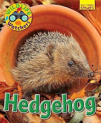 Wildtierbeobachter Igel - Ruth Owen