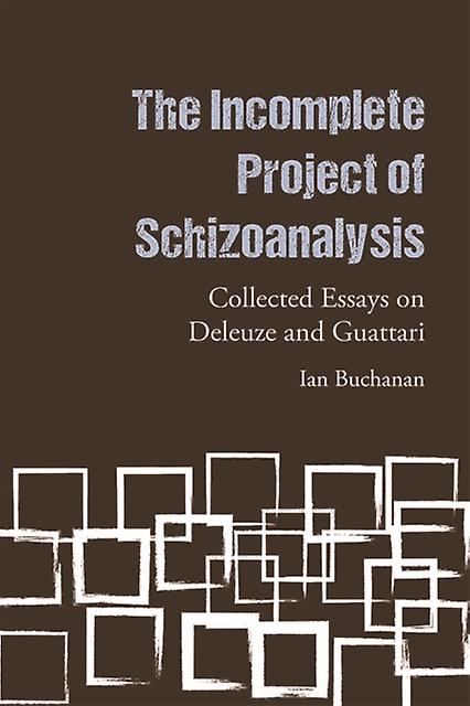 The Incomplete Project Of Schizoanalysis by Buchanan & Ian Professor of Cultural Studies and Critical Theory & University of Wollongong Paperback