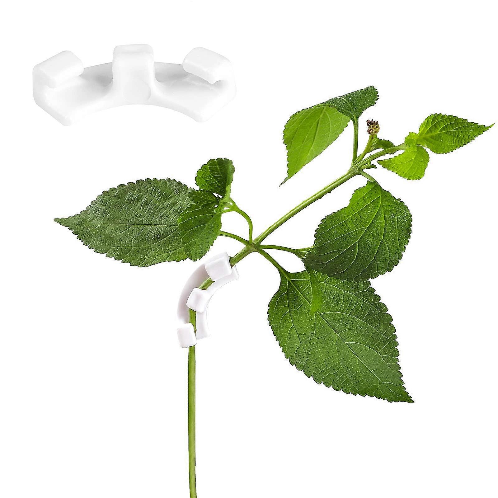 30-Pack 90 درجة مصنع بندر Lst كليب حامل النبات أدوات البستنة للتدريب على الضغط المنخفض