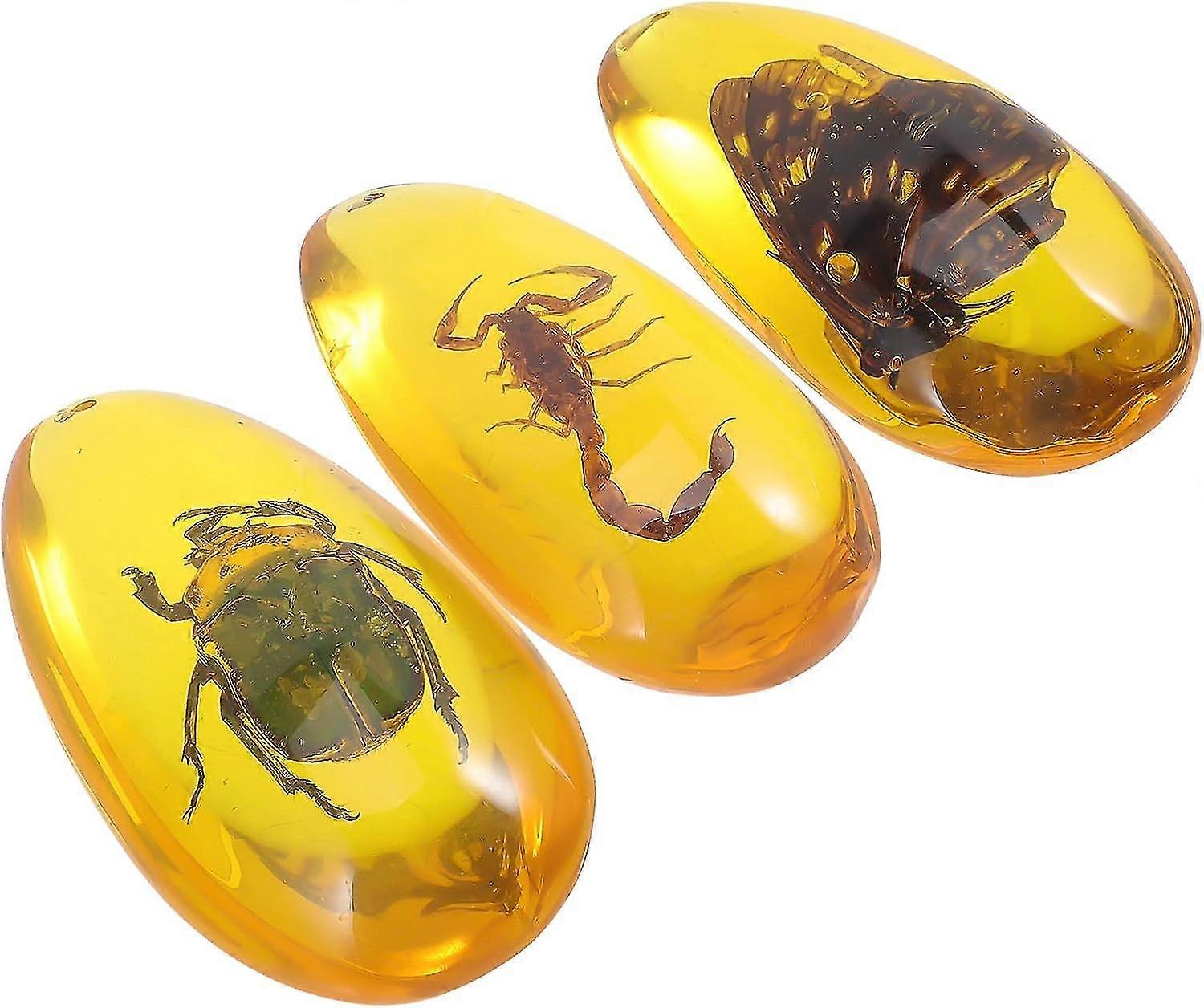 Kds Toys 3pcs Amber Fossils With Samples Stones Crystal Samples Specimen Amber Amber For Science Educational A Kids Toys