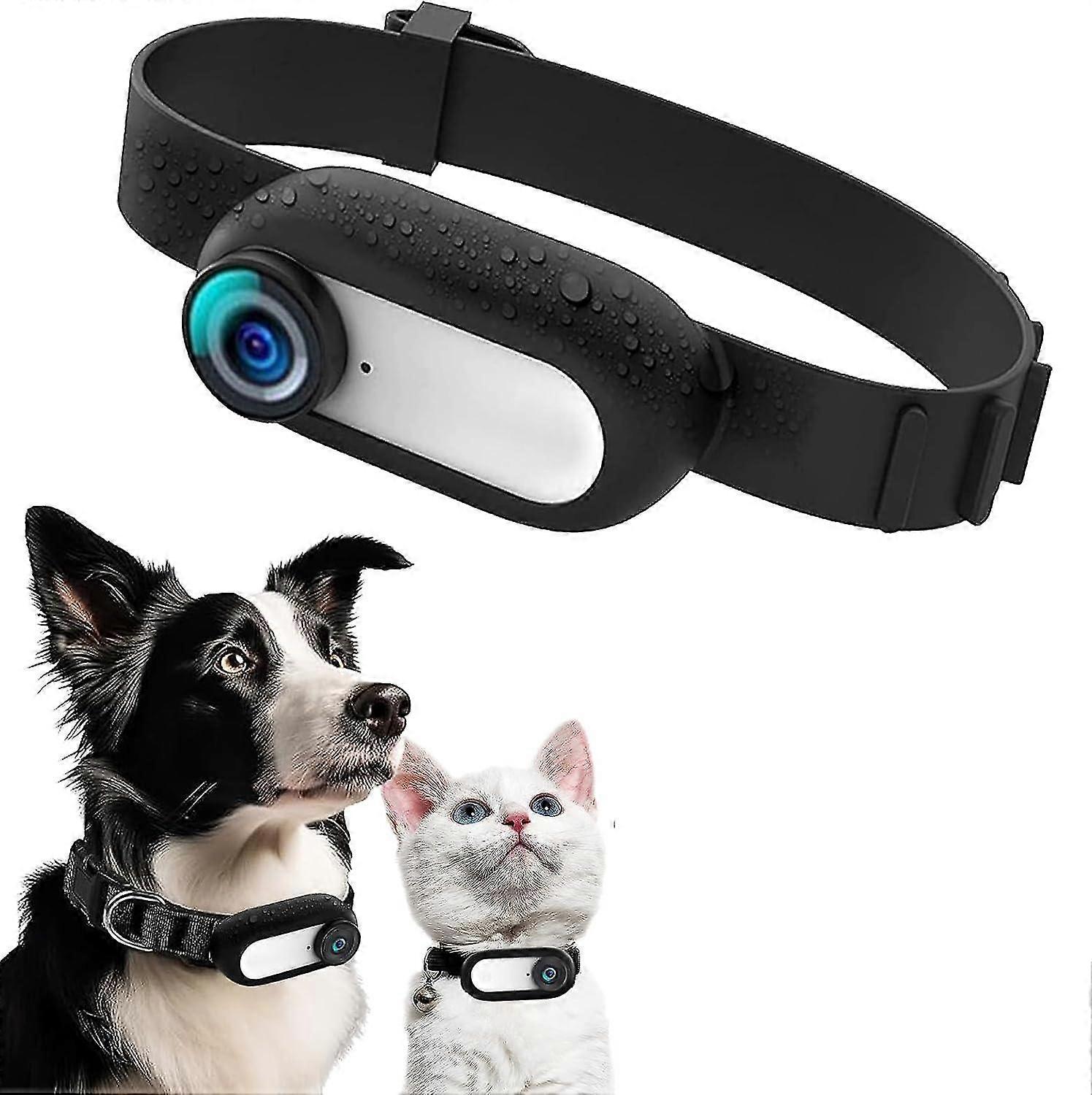 Hd 1080p Pet Tracker Collar With Video Records