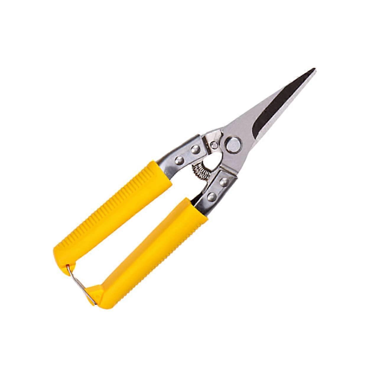 Sheet Straight Scissors
PP Handle Scissors
Performance Air Scissors
Cleaning Cloth
Steel Cutting Scissors
Curved Scissors
Yellow