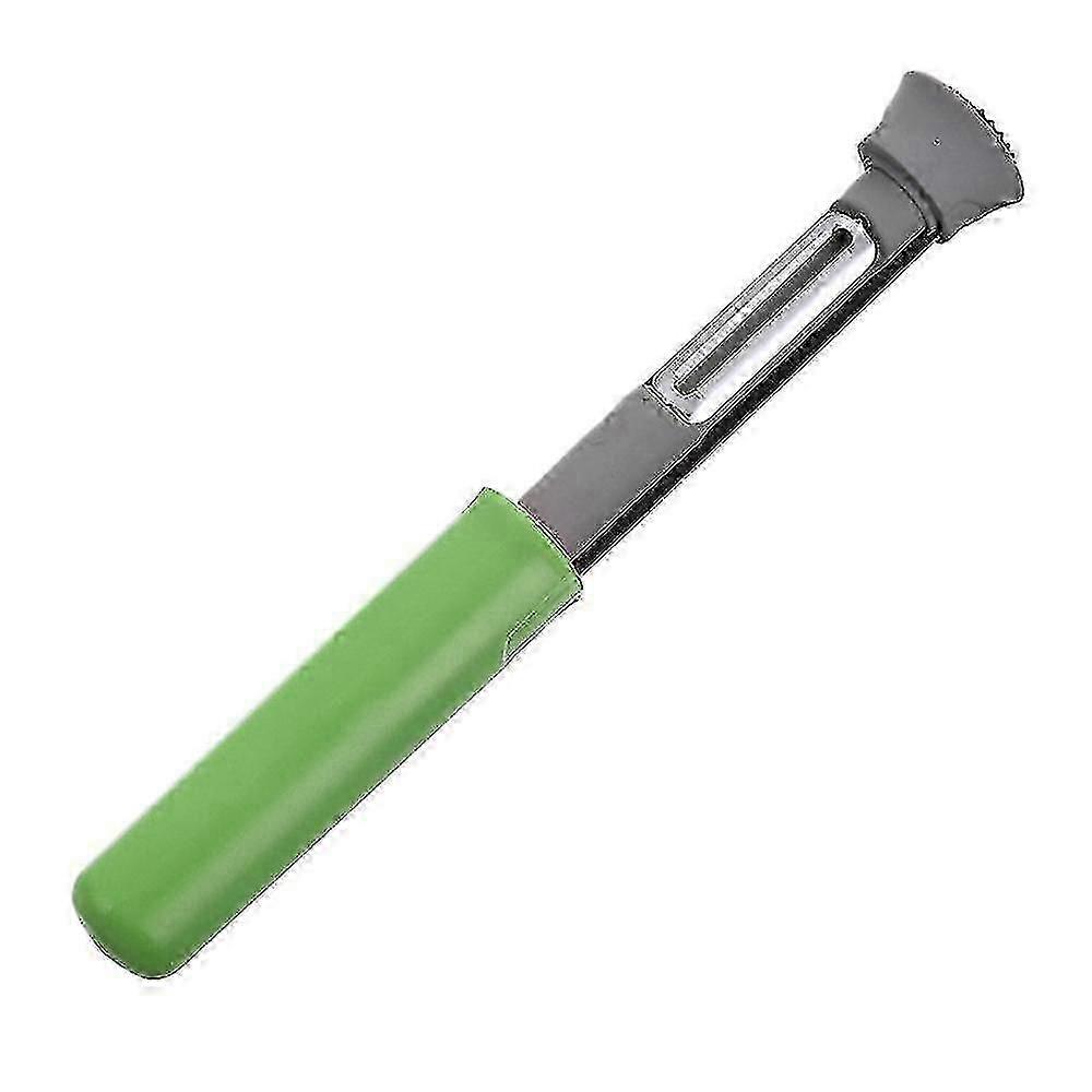 Multifunctional Kitchen Peeler for Various Fruits, Stainless Steel Pear Corer and Fruit Core Extractor, 2-in-1 Tool for Removing Apple Cores