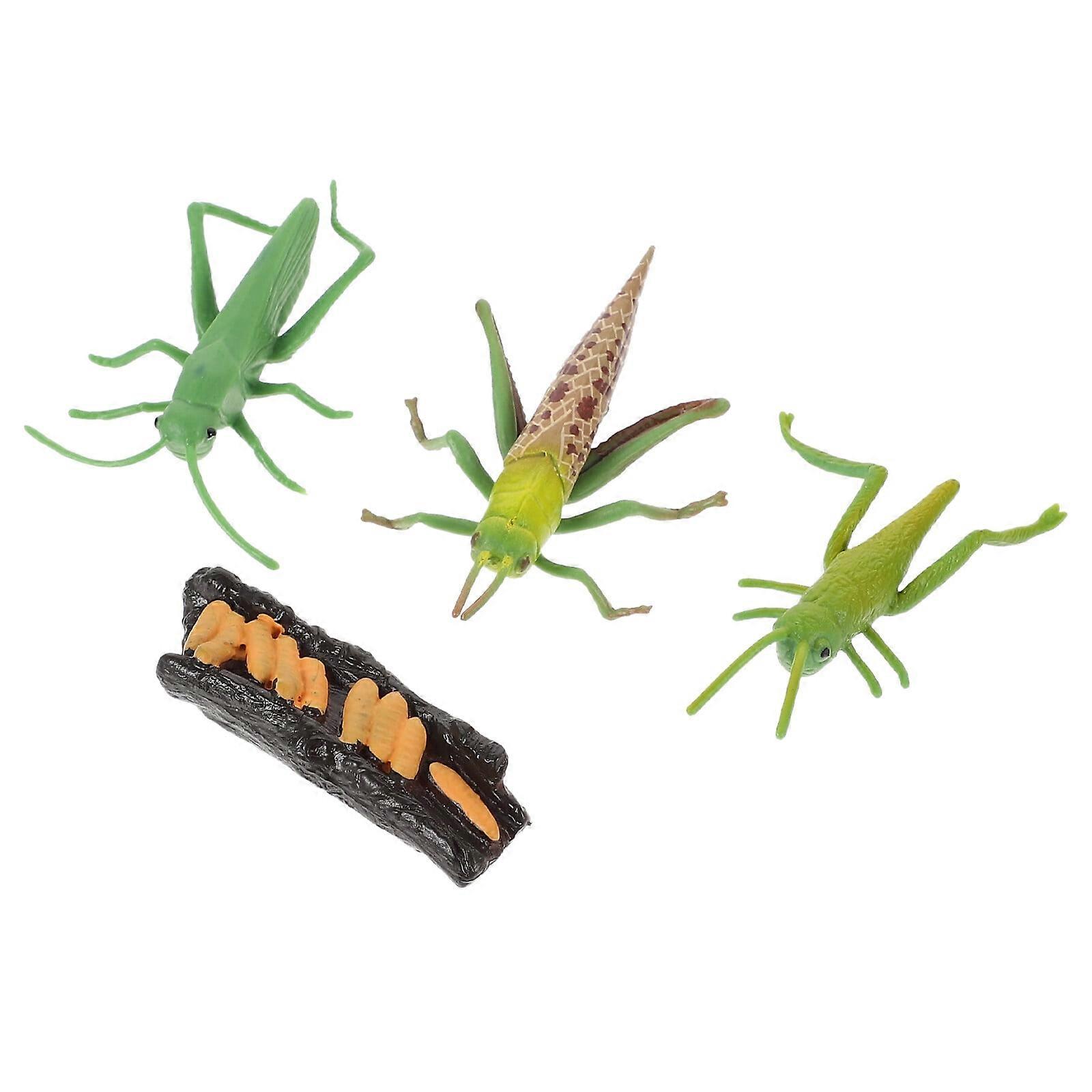 Kids Playthings Educational Models Growth Week Bug Figurines Insect Child Plastic