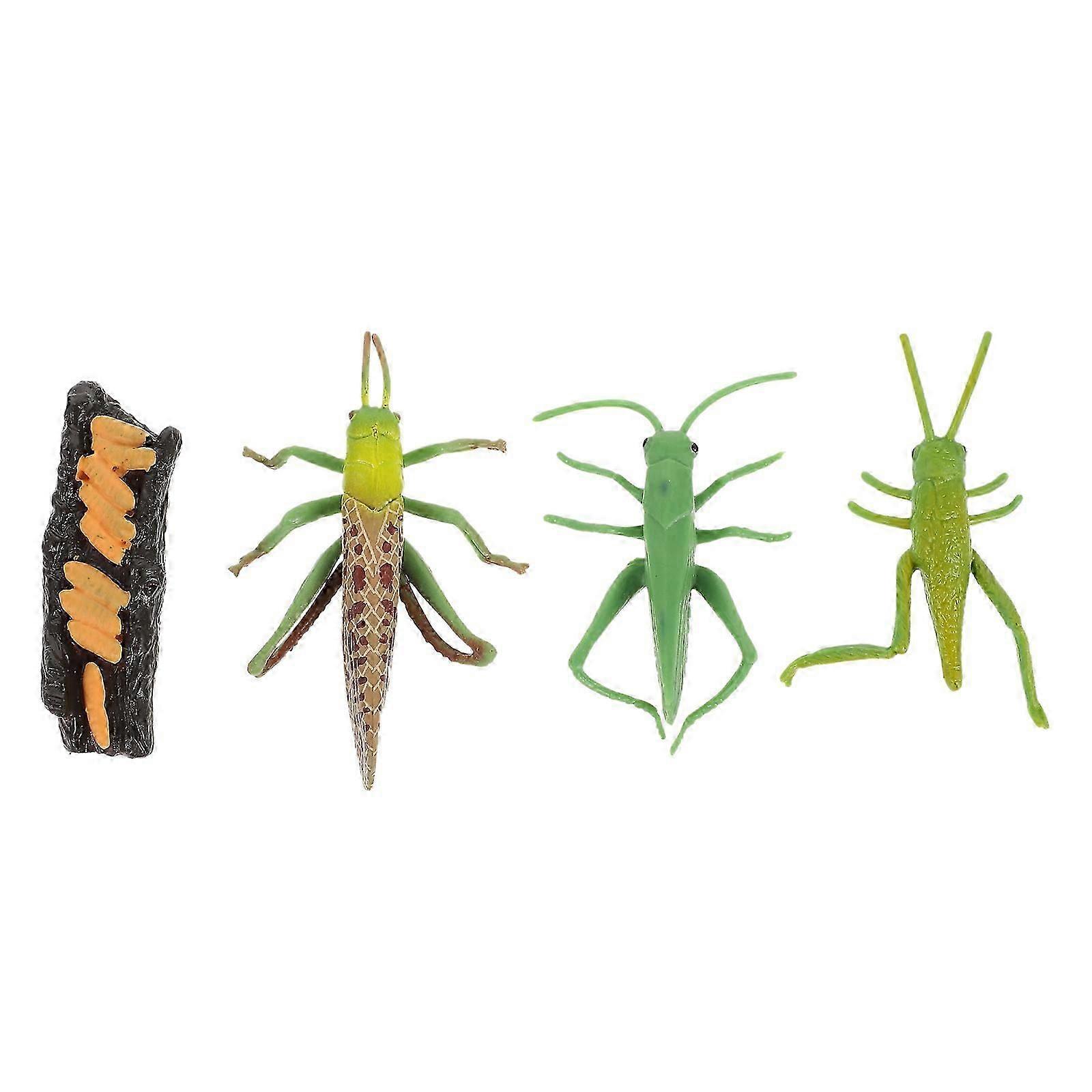 Grasshopper Growth Cycle Models Simulation Cognitive Model with 1Set