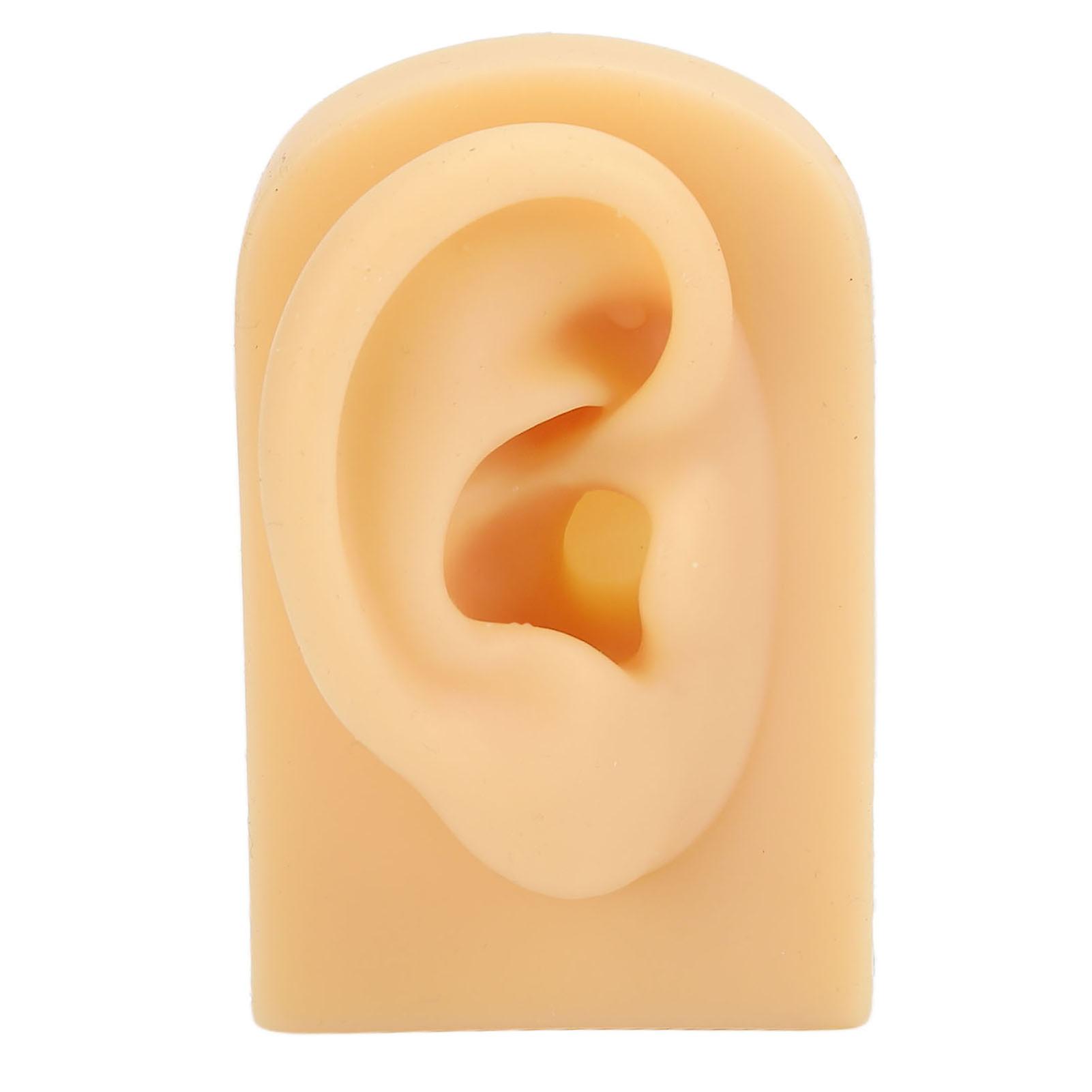Soft Silicone Ear Model Right Flexible Ear Simulation for Piercing Practice Jewelry Display Realistic Training Tool