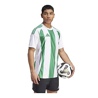 Camisa Adidas Listrada 24 Jsy IW2148