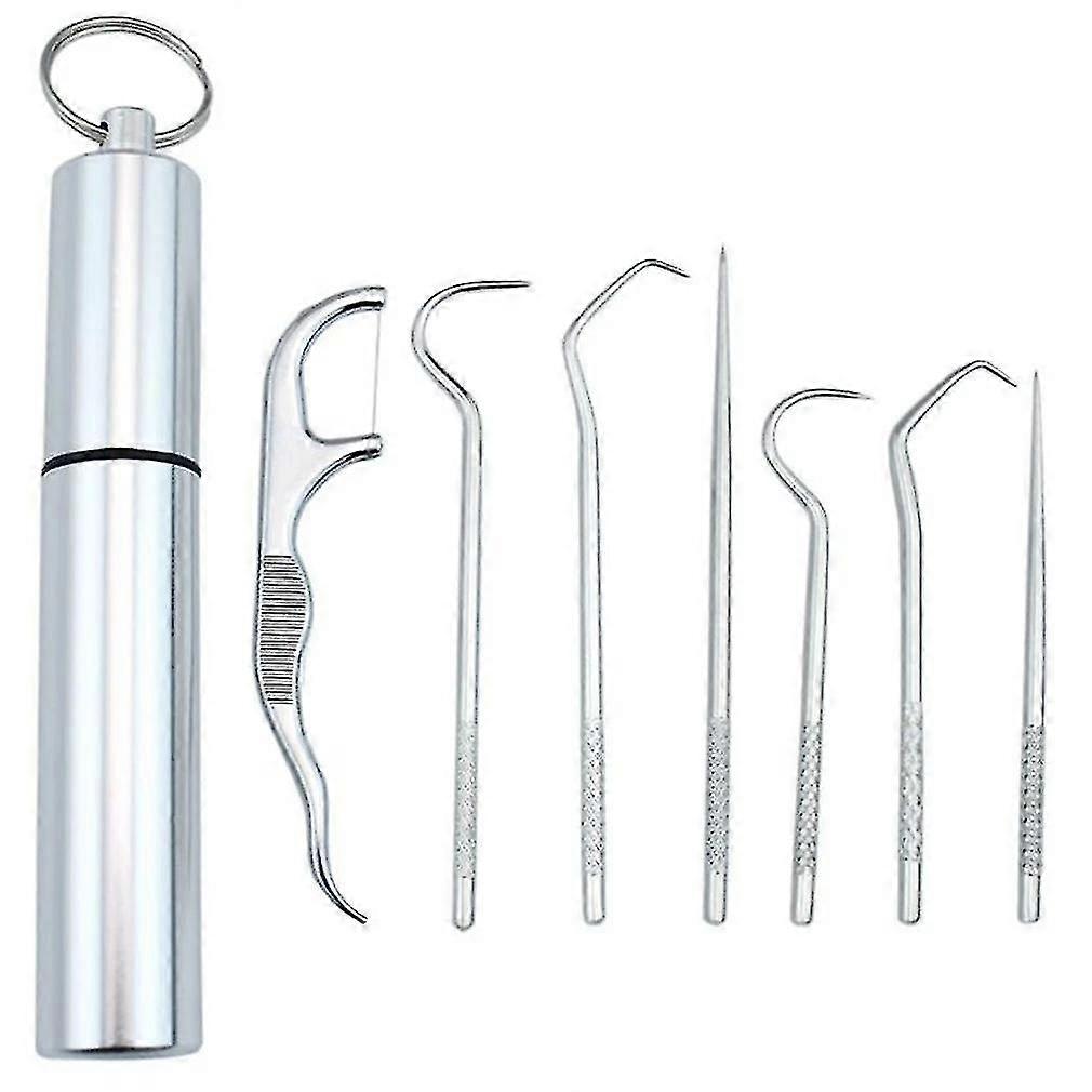 1 Set Stainless Steel Toothpick Set Portable Oral Cleaning Tools Tooth Flossing Artifact Outdoor Reusable Toothpick