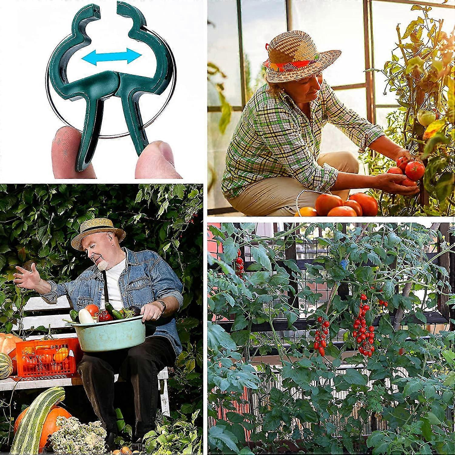 30 pezzi, clip per piante rampicanti, clip di fissaggio per piante, supporti per piante rampicanti da parete, clip per cavi da scrivania, supporti per | Leroy Merlin