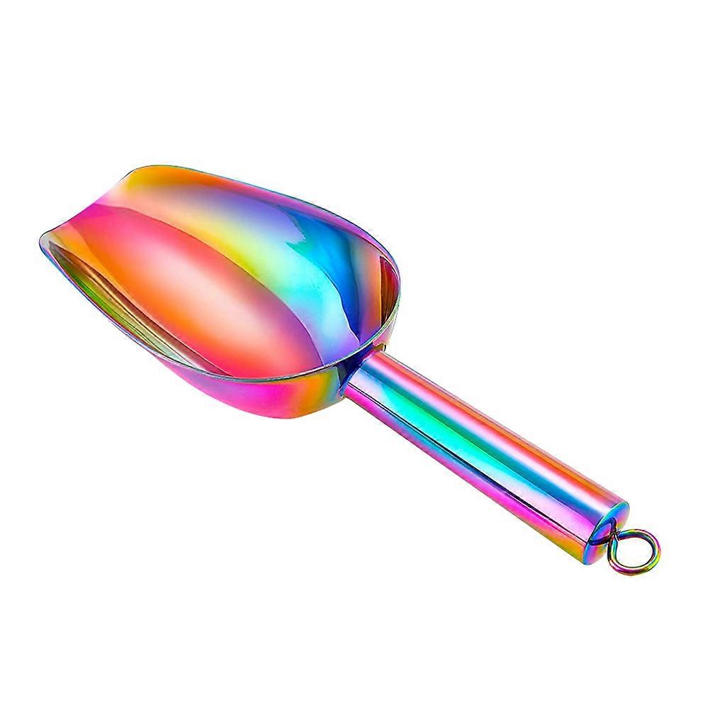 Stainless Steel Ice Scoop Dried Fruit Daily Use 25x8.5cm Scooping Ice 1Set