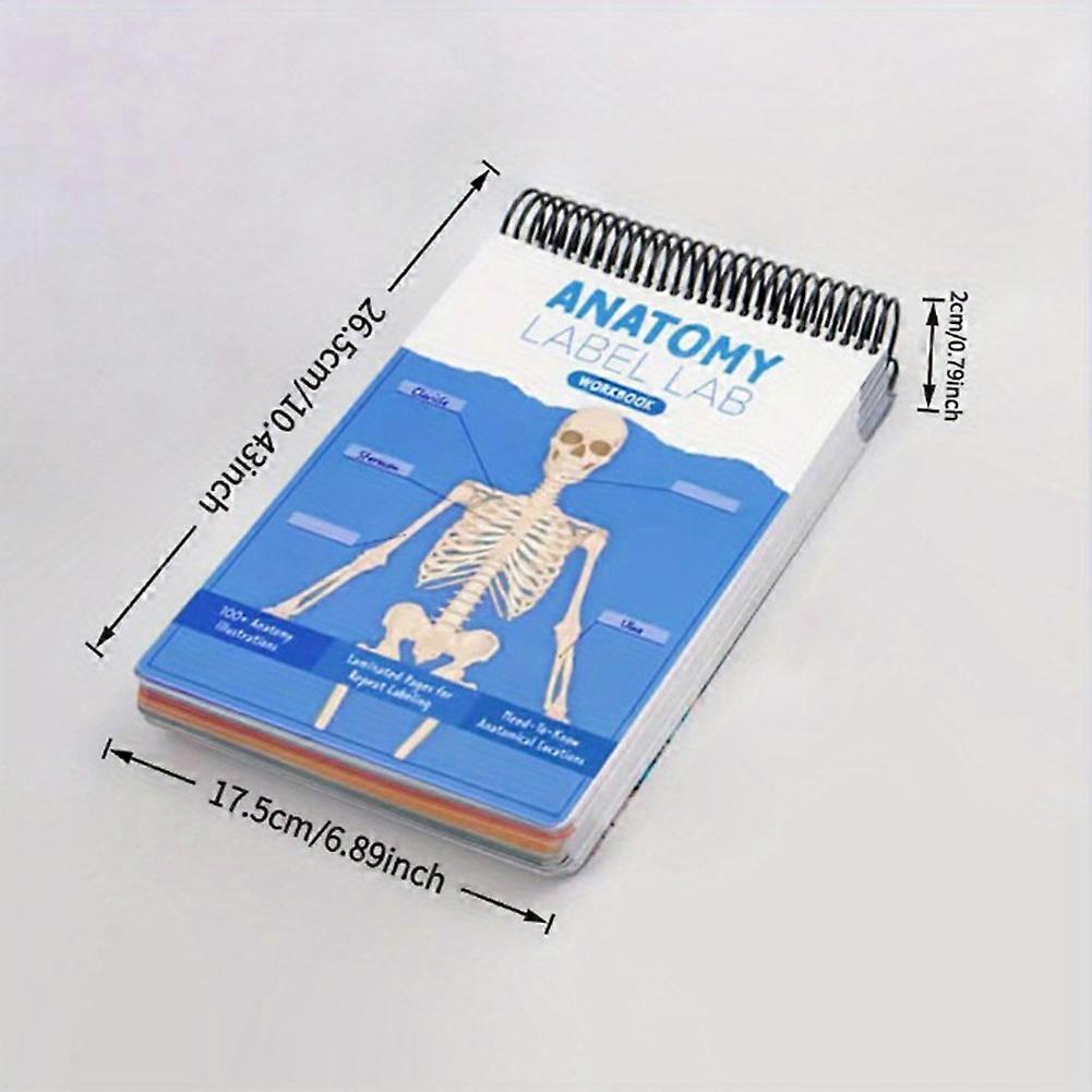 Anatomys Label-Lab Your Ultimates Study Workbook The Ultimates Anatomys Study Guide Books for Nursing Students