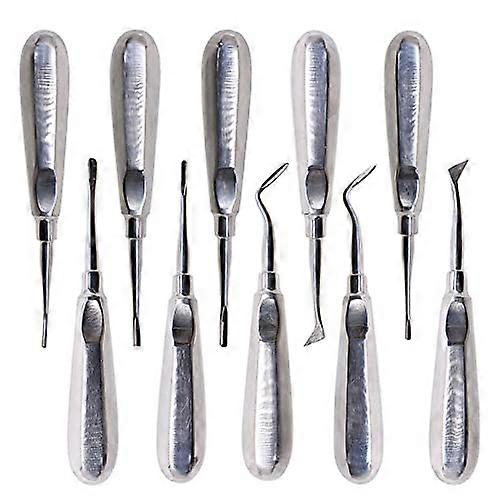 10pcs Dental Extraction Forceps Set with Curved Root Lift Elevators for Precise Tooth Removal