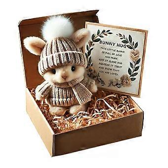 Handmade Mini Bunny Hug Easter Gift with Card Stuffed Plush Bunny Figurine in A Box Cute Pocket Bunny Emotional Support Gift for Women Men