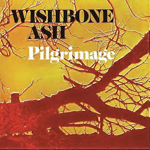 Wishbone Ash - Wishbone Ash / Pilgrimage (1cd) [cd] [CD]
