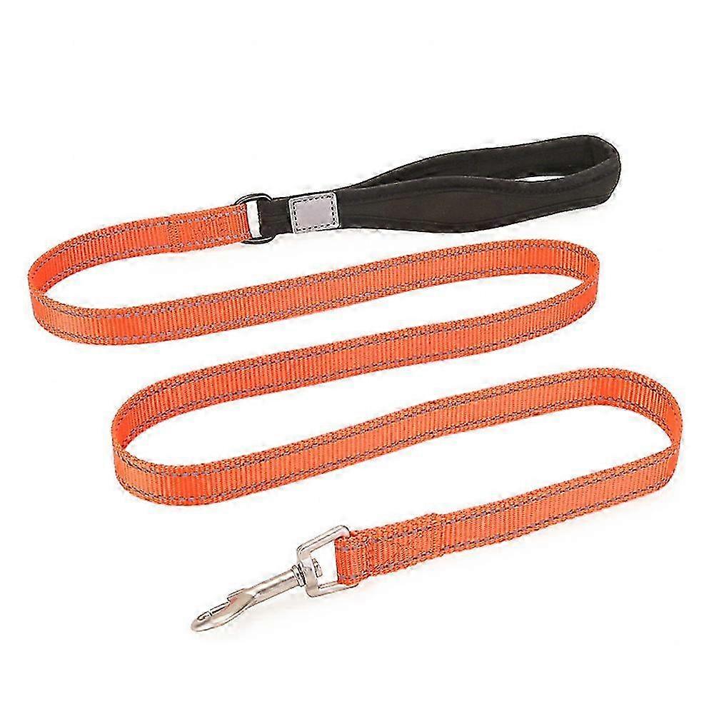 Reflective Nylon Dog Leash With Glow