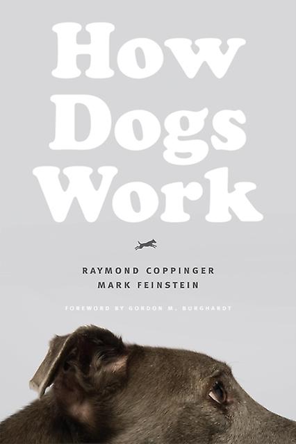 Wie Hunde funktionieren von Mark Feinstein Taschenbuch